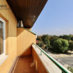 92213051_max-1