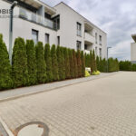93326147_max