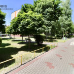 93900530_max
