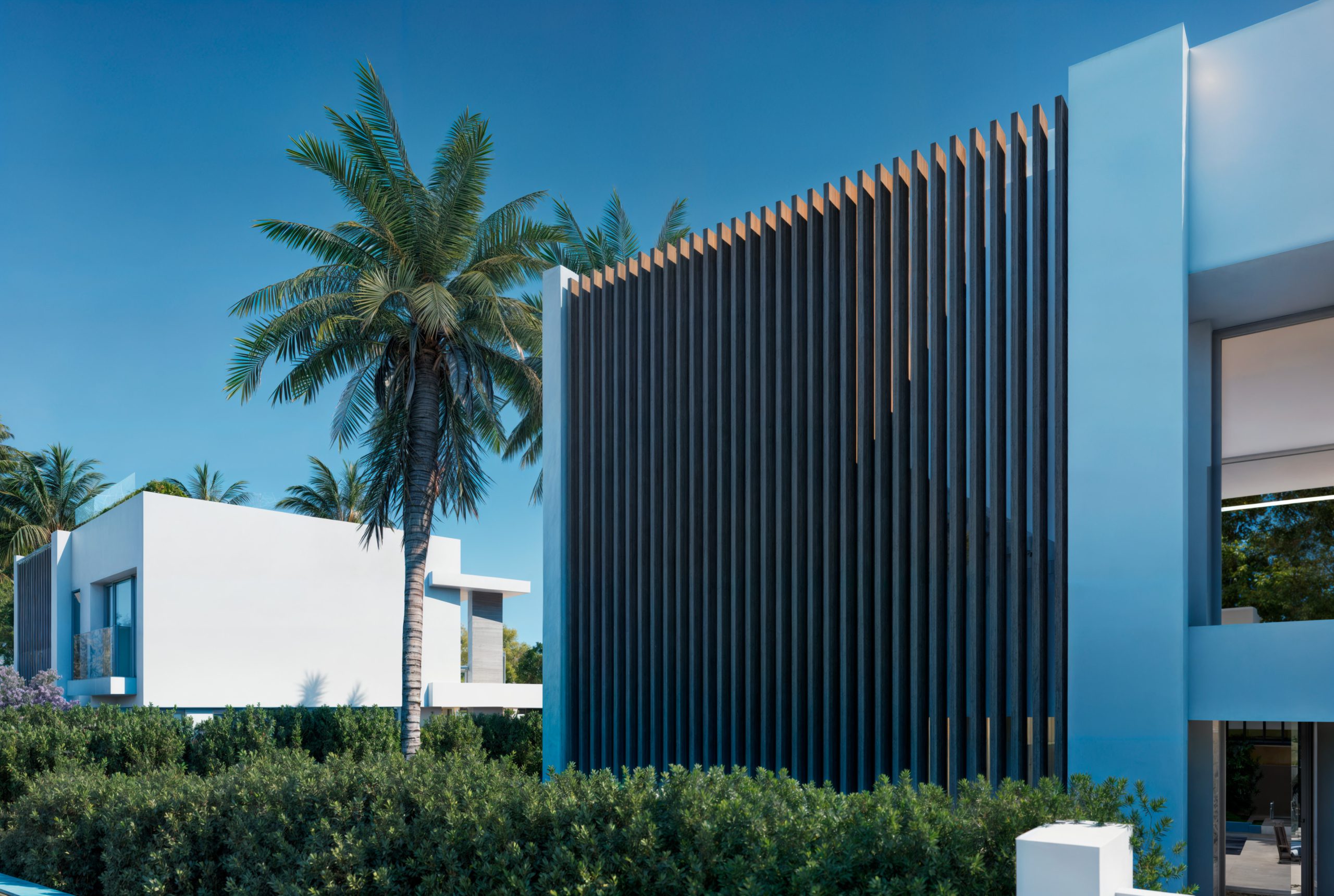 05-FINALImagen_5-enhanced-scaled-1