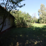 97069178_max