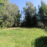 97069181_max