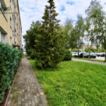 97620182_max