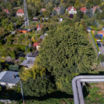 98283077_max