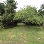 98801189_max
