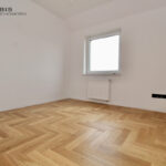47738091_max