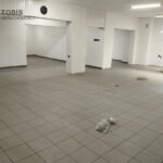 114151682_max