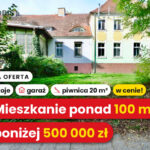 116713181_max